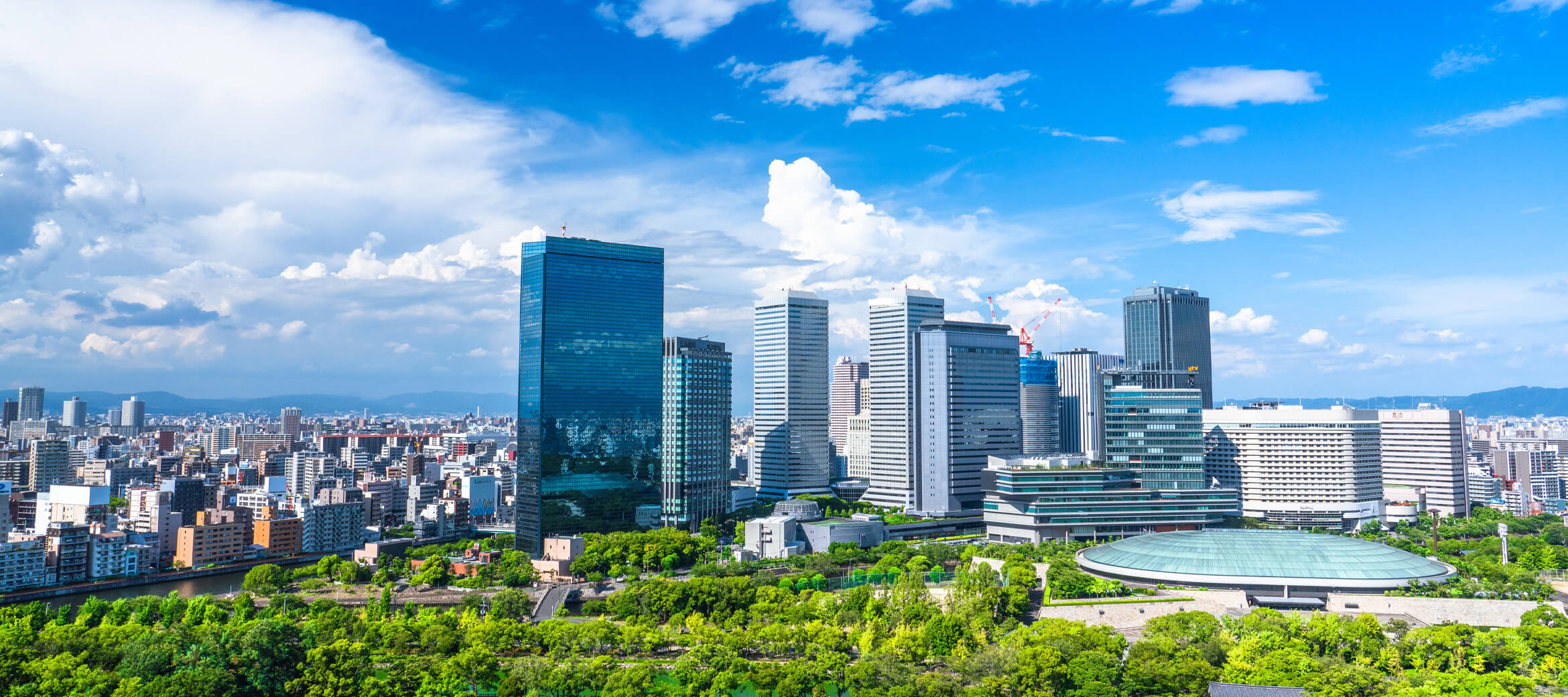 わたしたちについて